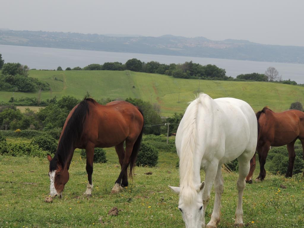 Country Relais I Due Laghi Villa Anguillara Sabazia Eksteriør bilde